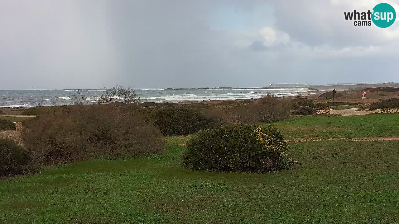 Playa Mari Ermi | Is Arutas – Oristano