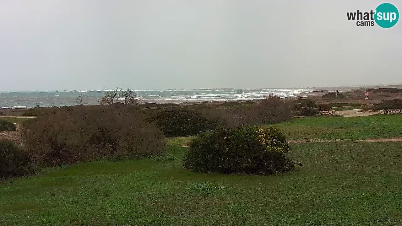 Mari Ermi beach | Is Arutas – Oristano