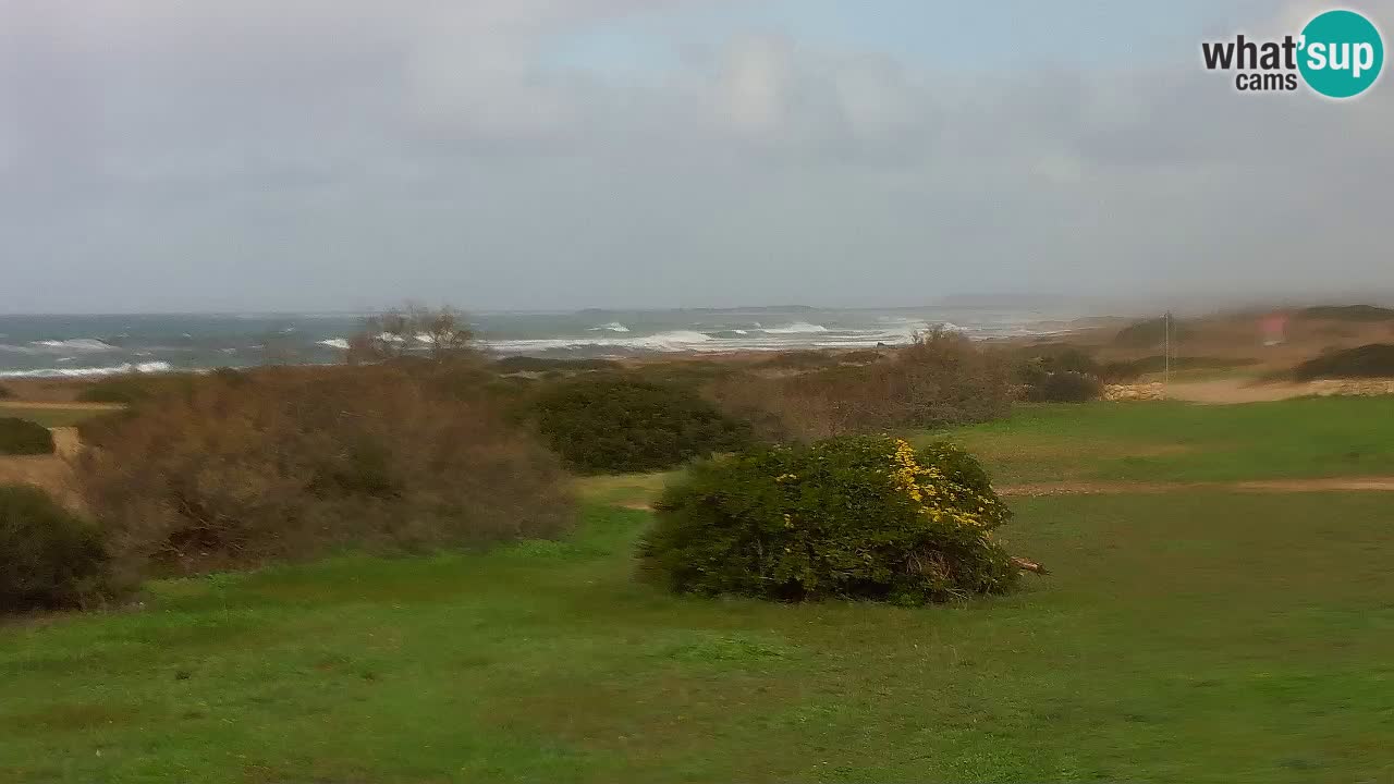 Mari Ermi Strand | Is Arutas – Oristano