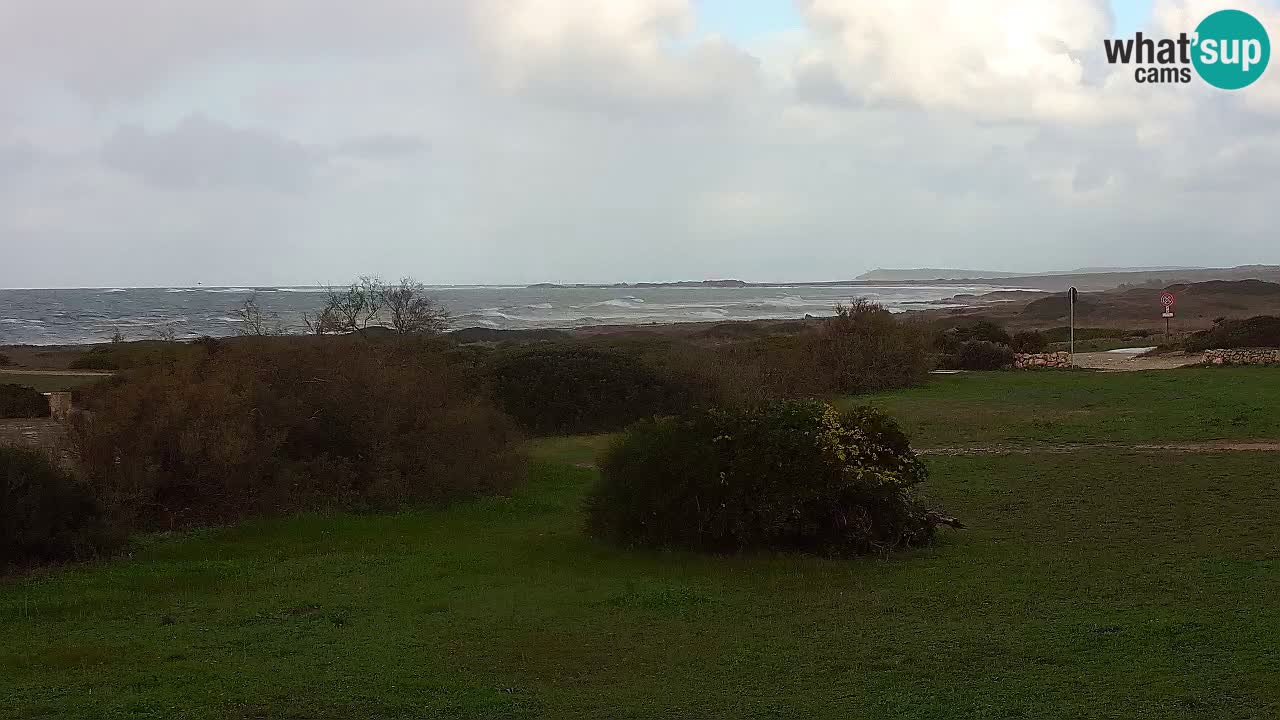 Mari Ermi Strand | Is Arutas – Oristano