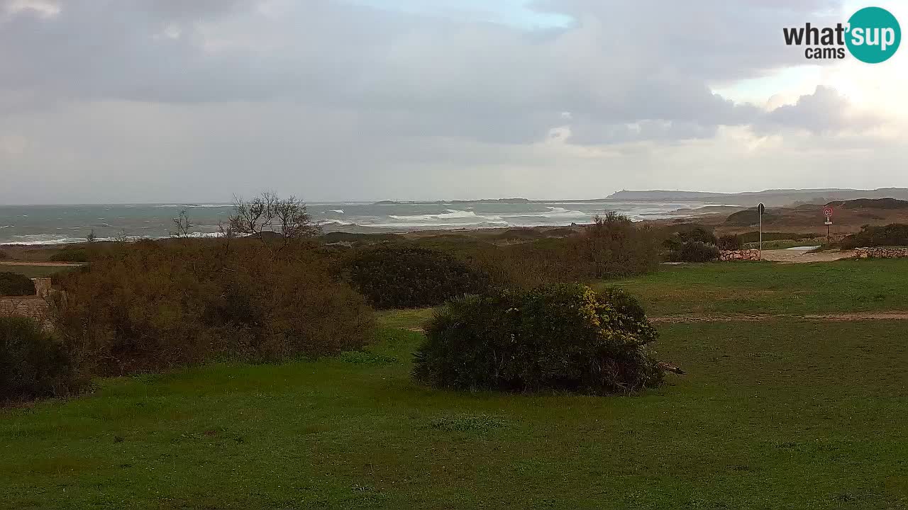 Mari Ermi Strand | Is Arutas – Oristano