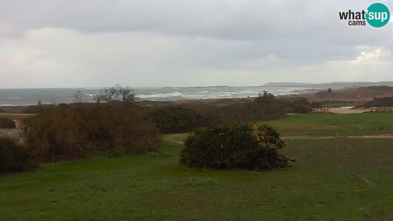 Playa Mari Ermi | Is Arutas – Oristano