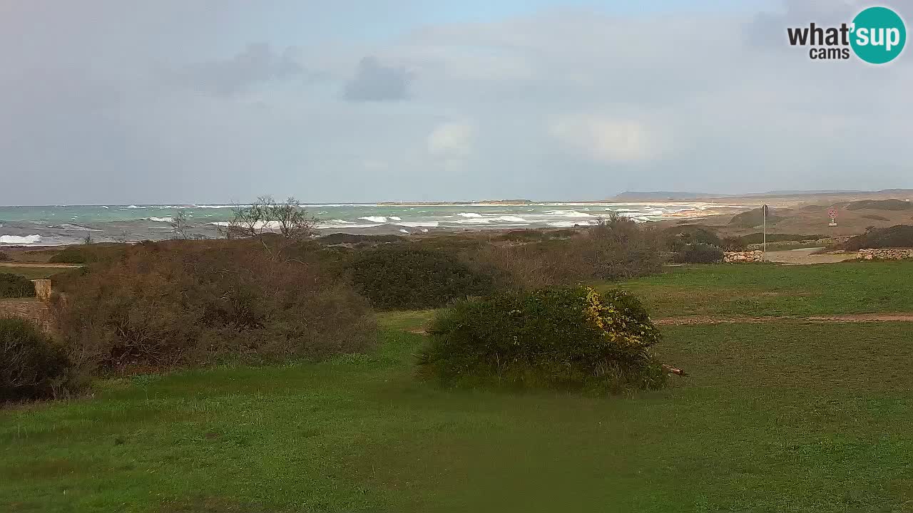 Mari Ermi Strand | Is Arutas – Oristano