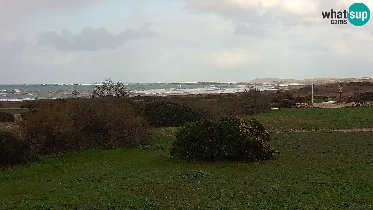 Plage Mari Ermi | Is Arutas – Oristano