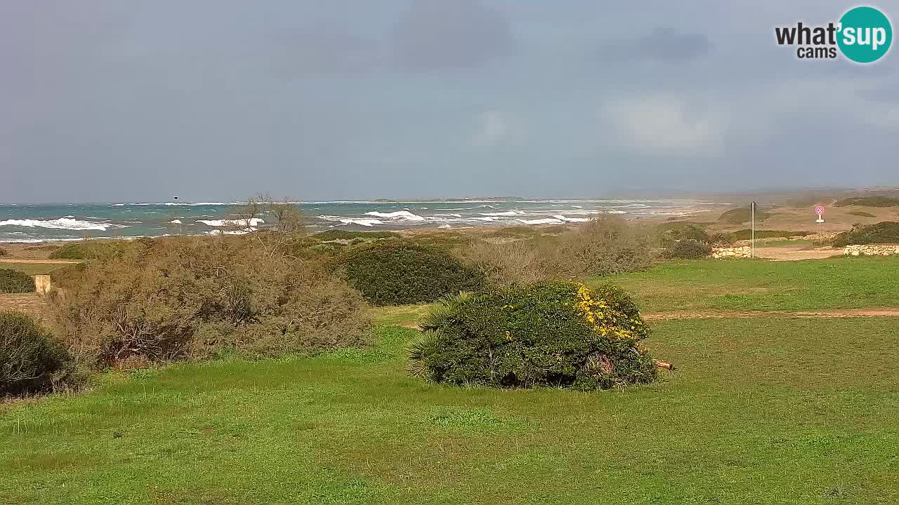 Plage Mari Ermi | Is Arutas – Oristano