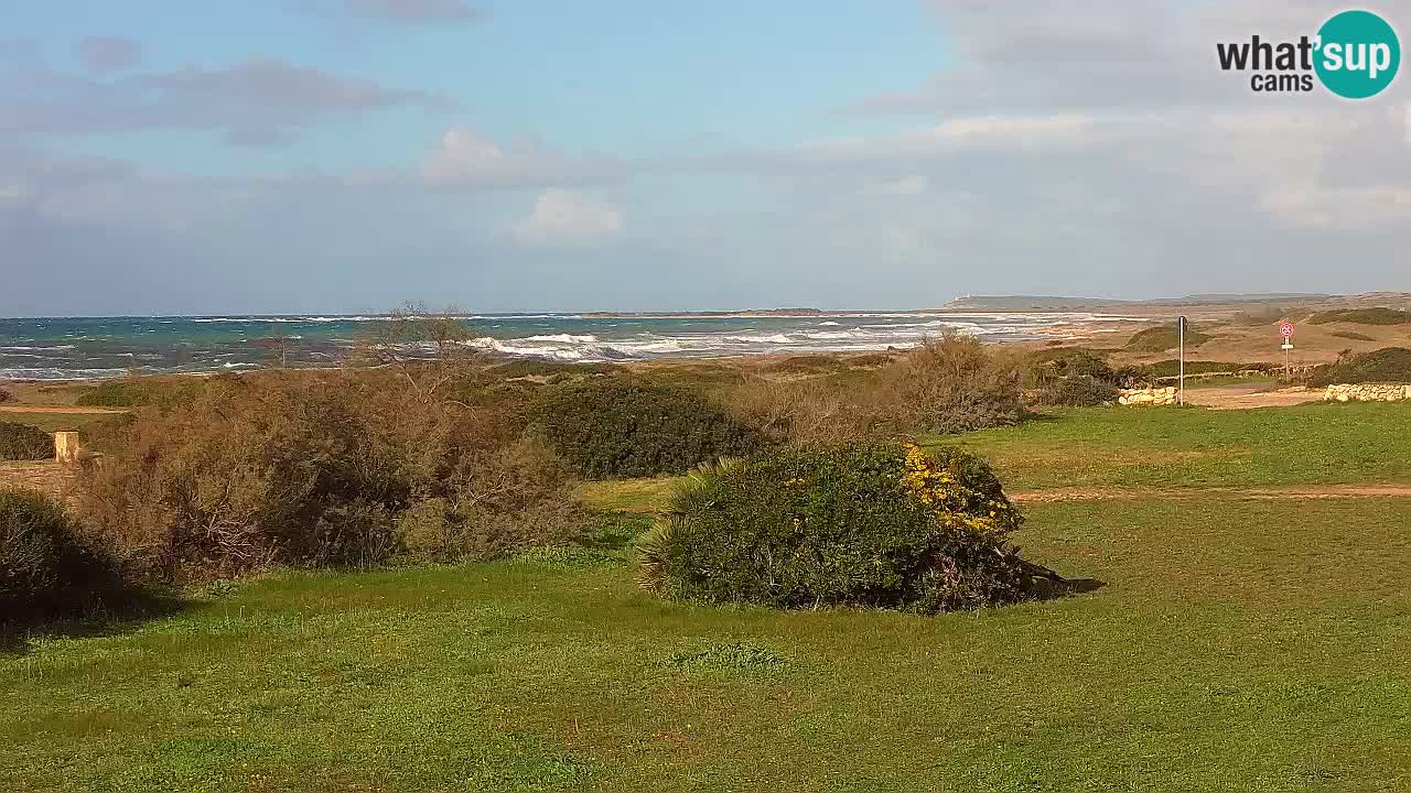 Plage Mari Ermi | Is Arutas – Oristano