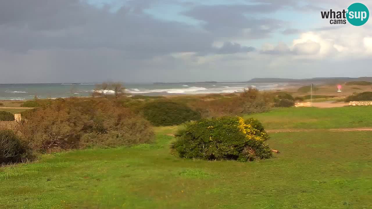 Mari Ermi beach | Is Arutas – Oristano