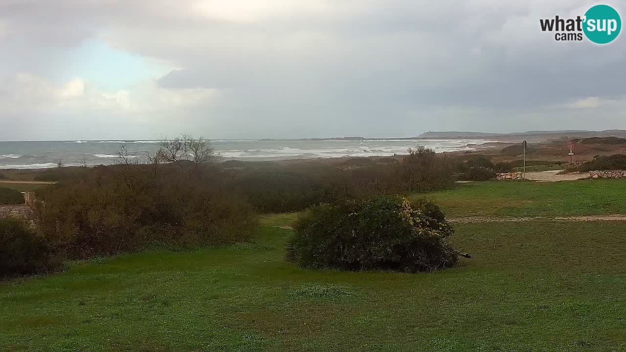 Mari Ermi beach | Is Arutas – Oristano