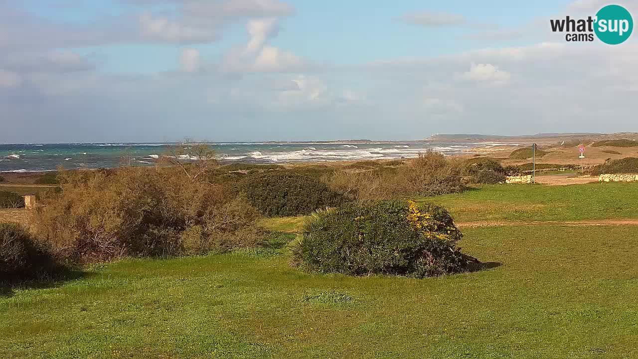 Plaža Mari Ermi | Is Arutas – Oristano