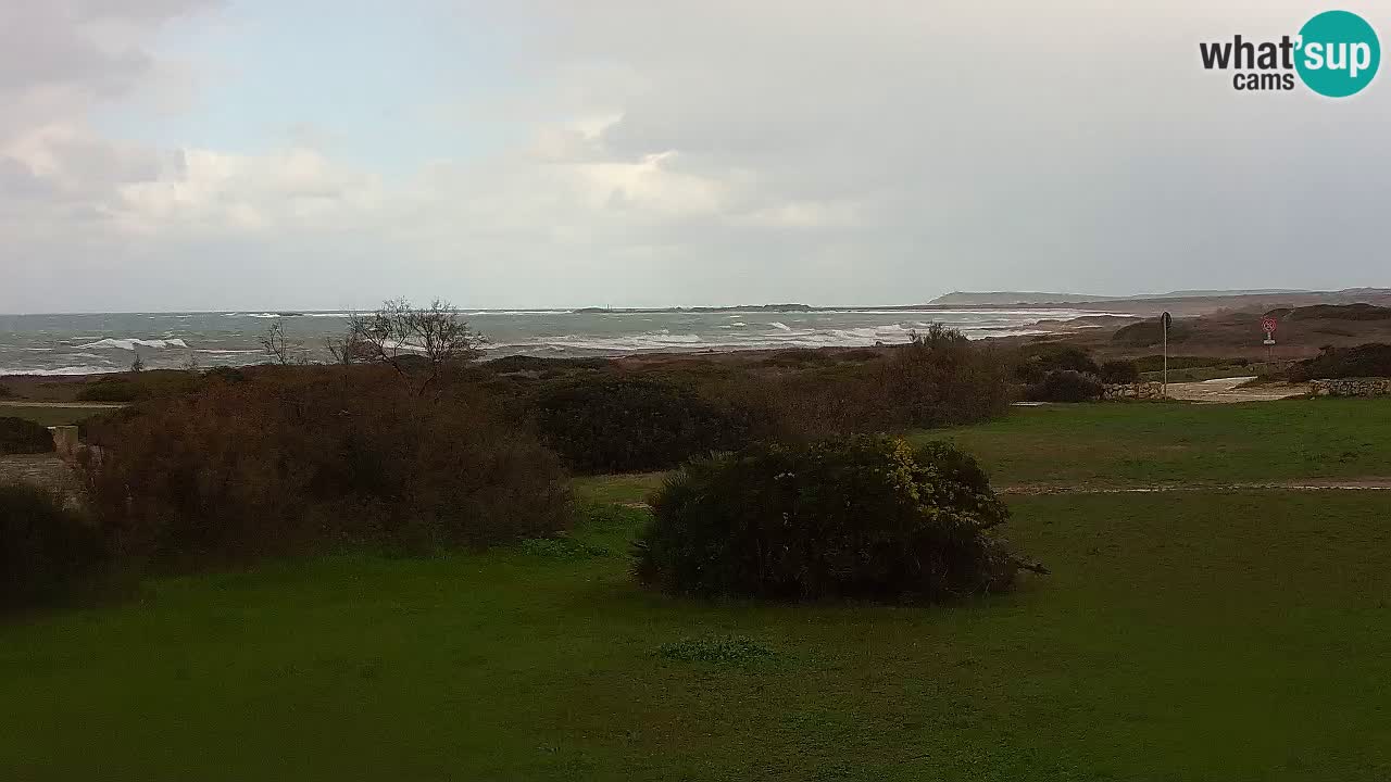 Plage Mari Ermi | Is Arutas – Oristano