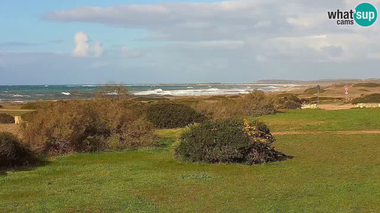 Plage Mari Ermi | Is Arutas – Oristano