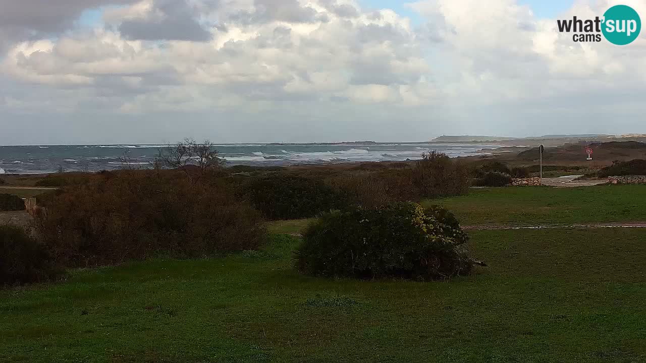 Plaža Mari Ermi | Is Arutas – Oristano