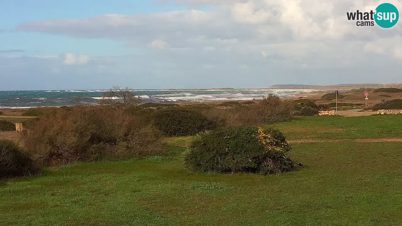 Plaža Mari Ermi | Is Arutas – Oristano