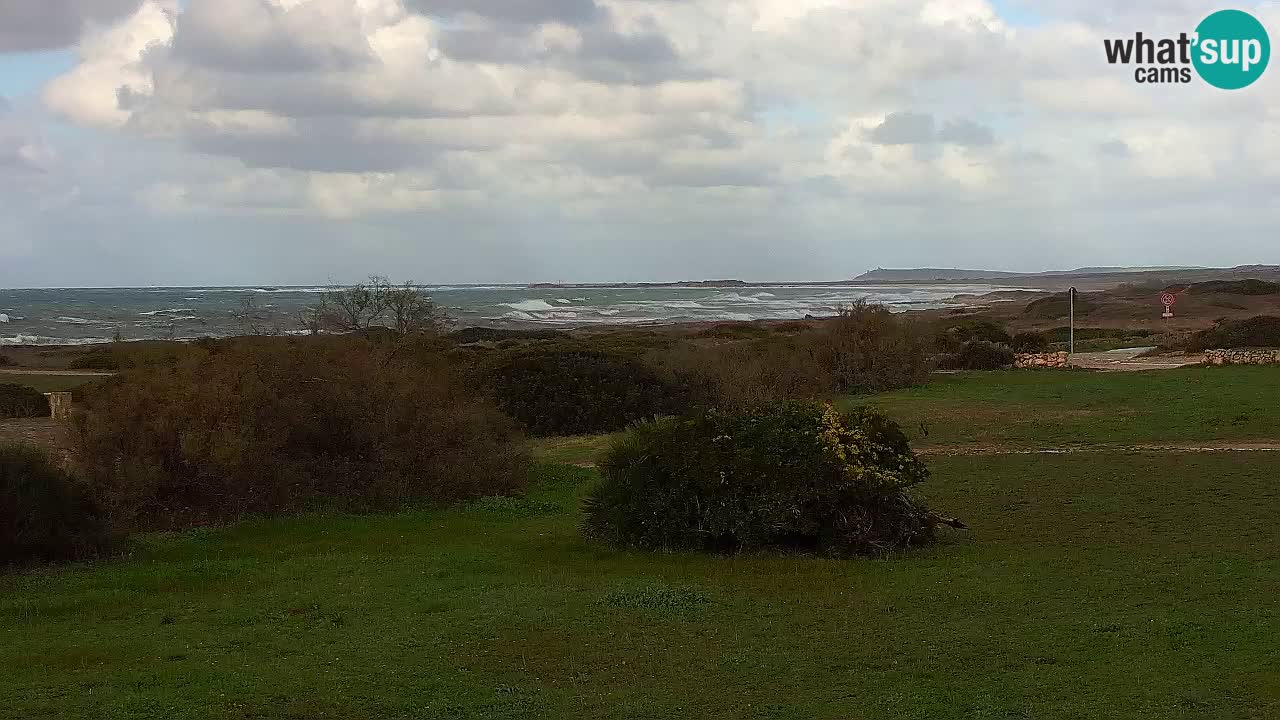 Playa Mari Ermi | Is Arutas – Oristano