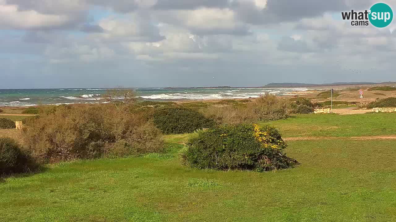 Playa Mari Ermi | Is Arutas – Oristano