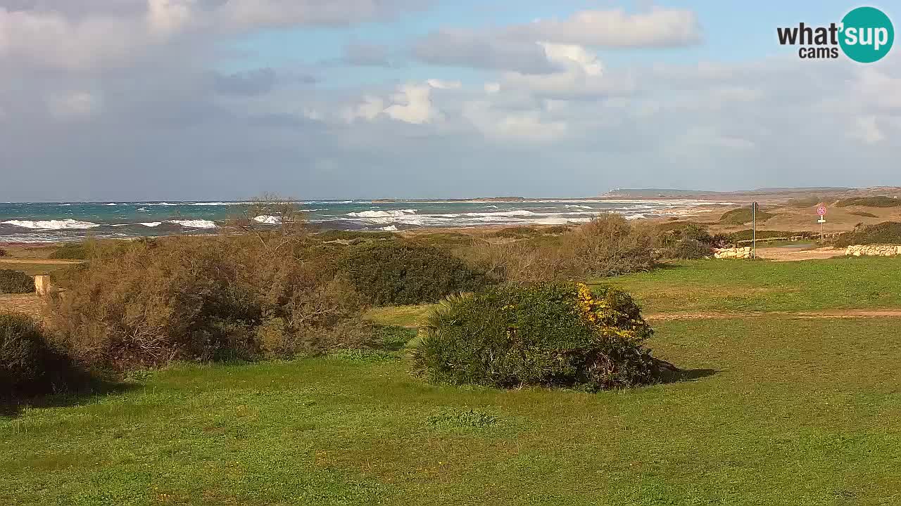 Spiaggia Mari Ermi | Is Arutas – Oristano