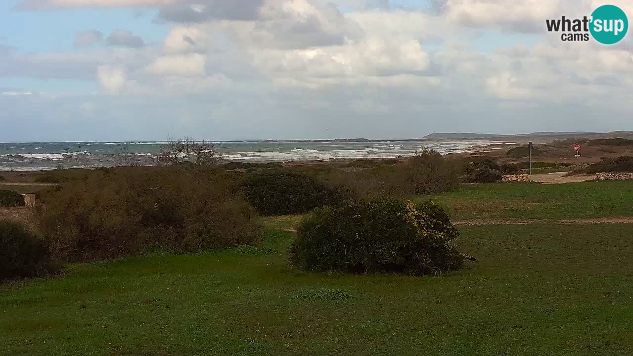 Mari Ermi Strand | Is Arutas – Oristano