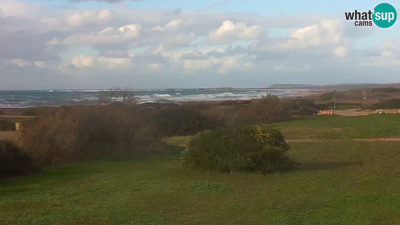 Mari Ermi beach | Is Arutas – Oristano