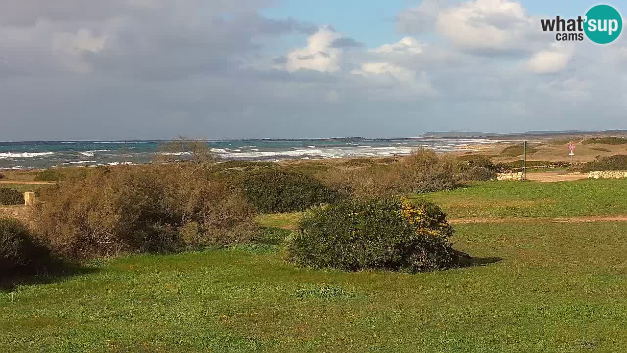 Plage Mari Ermi | Is Arutas – Oristano