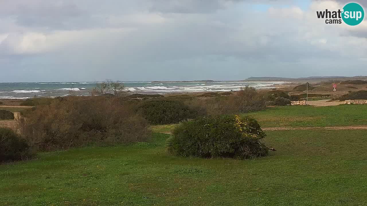 Mari Ermi Strand | Is Arutas – Oristano