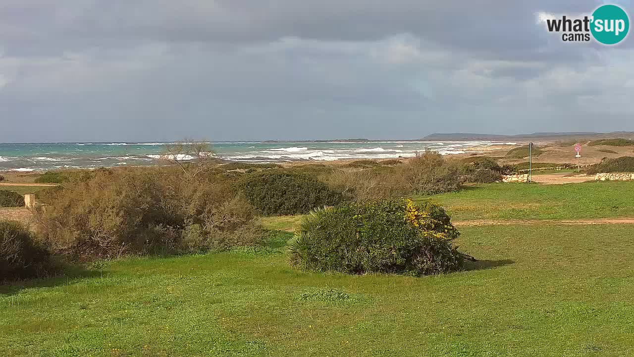 Mari Ermi beach | Is Arutas – Oristano