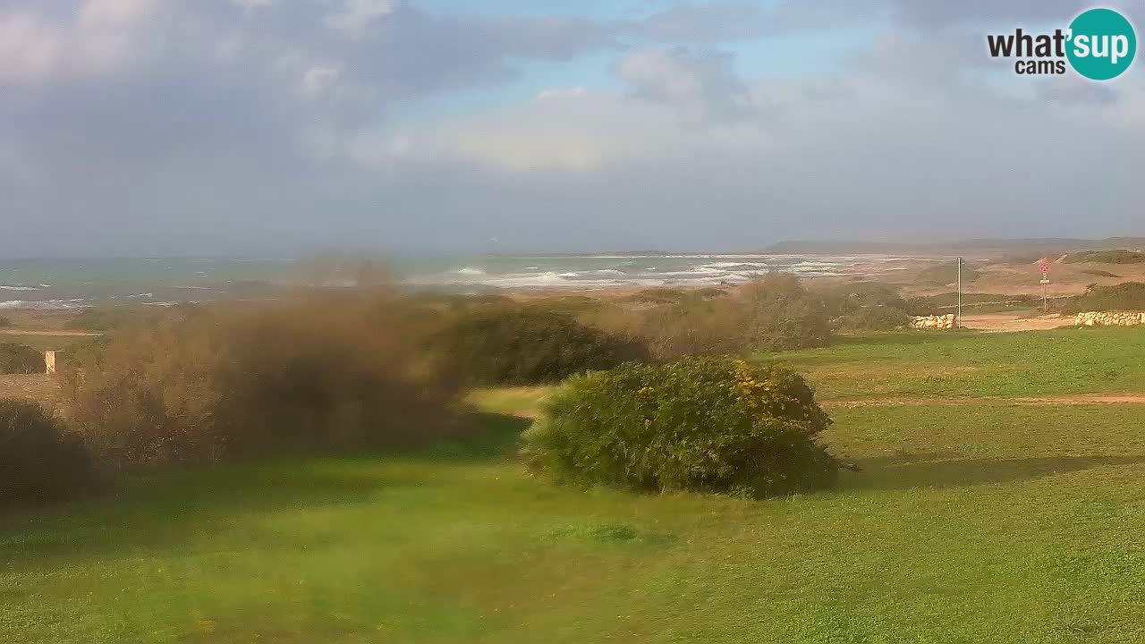 Playa Mari Ermi | Is Arutas – Oristano