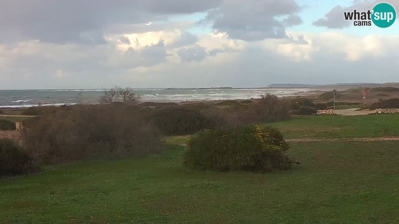 Mari Ermi Strand | Is Arutas – Oristano