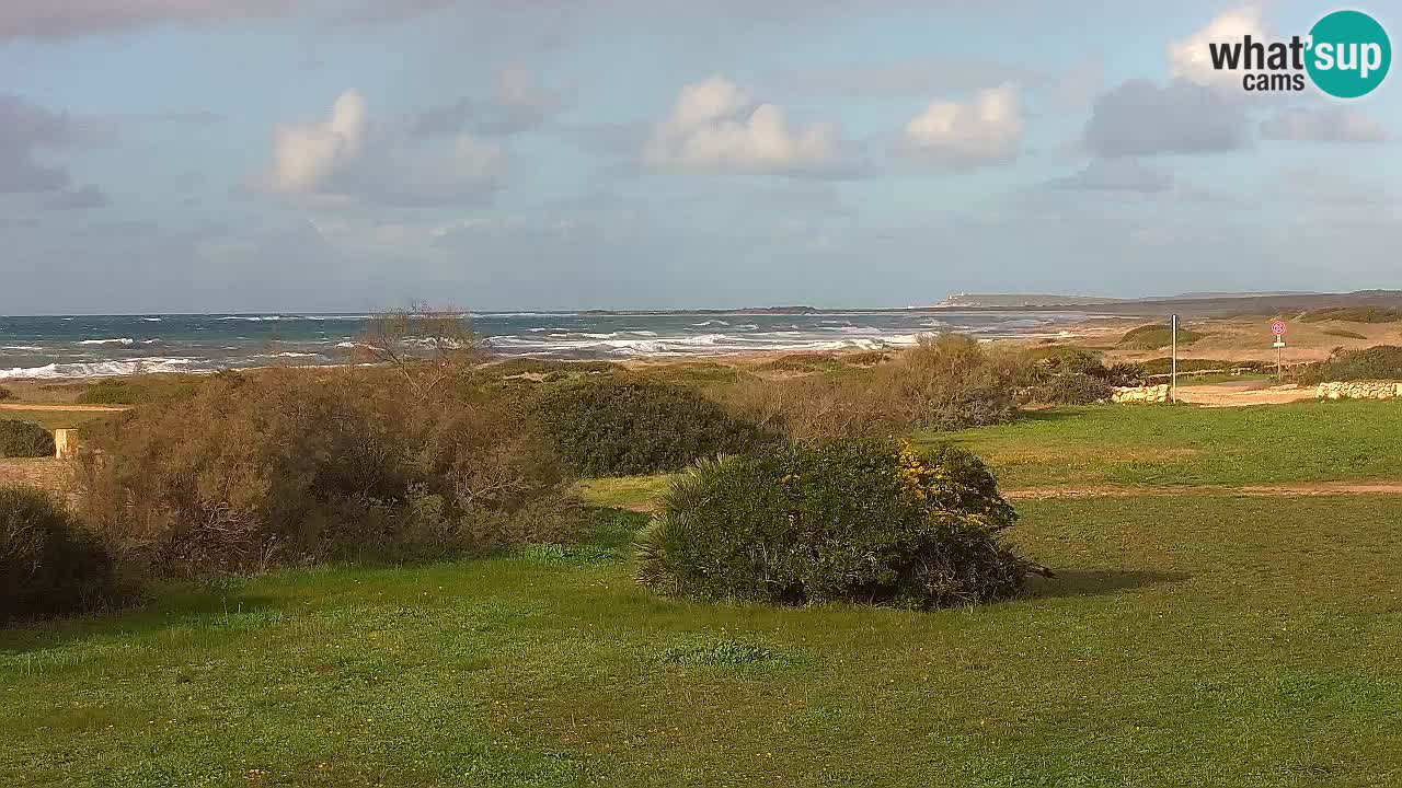 Plaža Mari Ermi | Is Arutas – Oristano