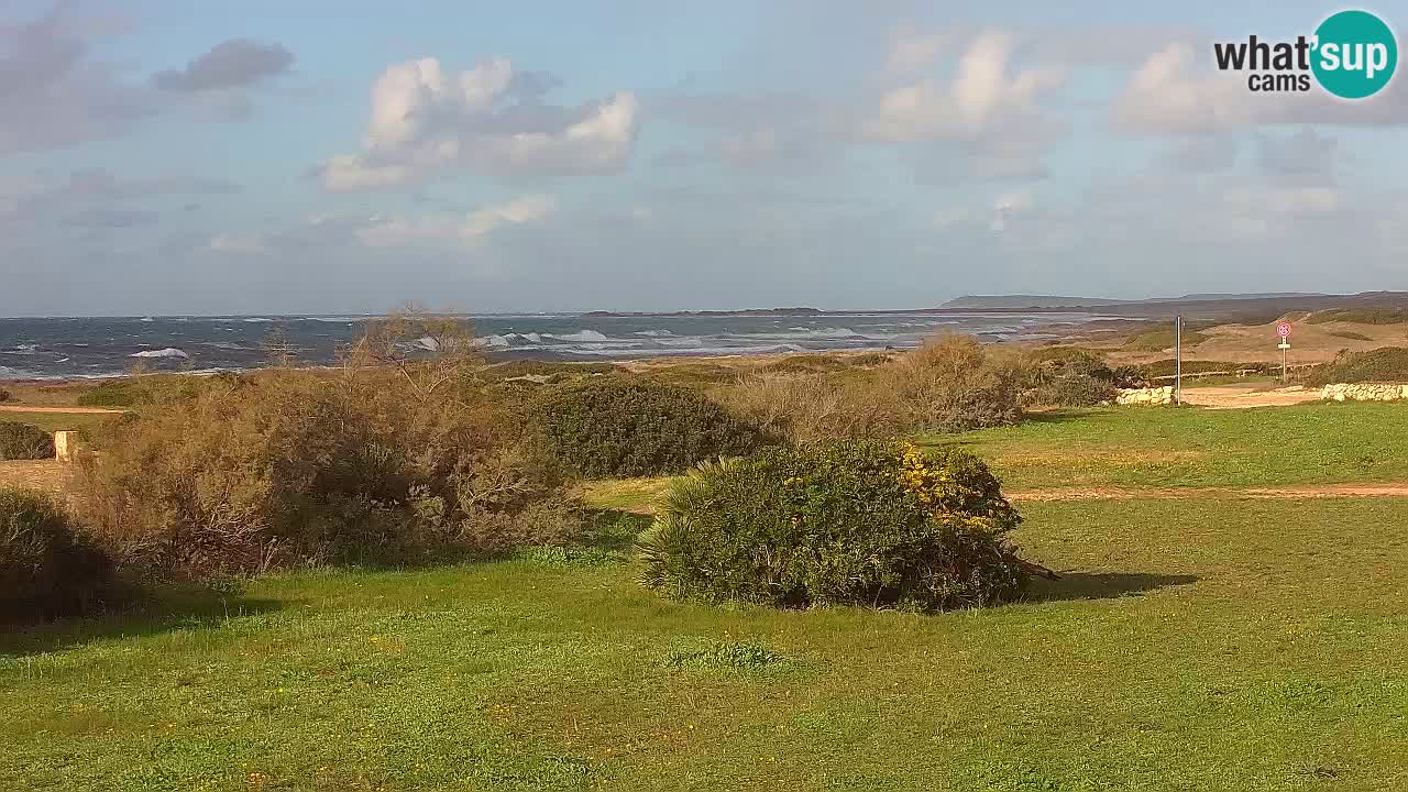 Playa Mari Ermi | Is Arutas – Oristano