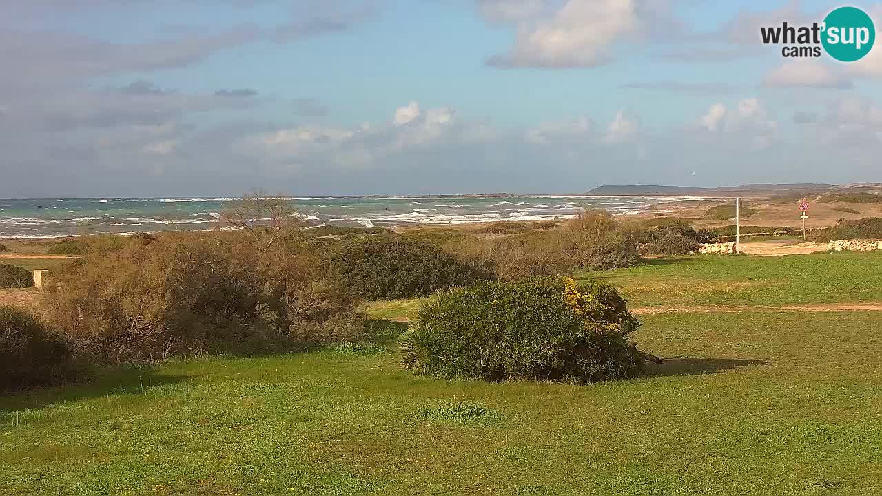 Playa Mari Ermi | Is Arutas – Oristano