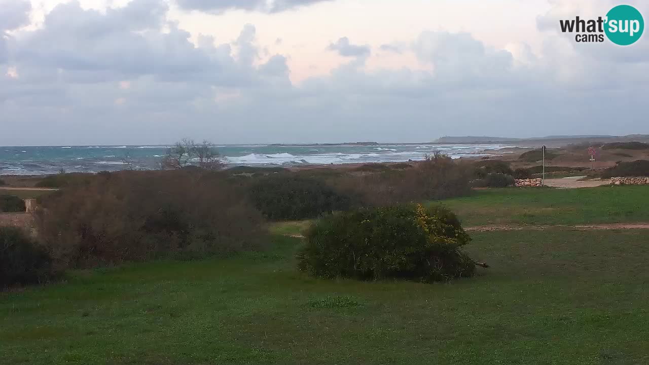 Spiaggia Mari Ermi | Is Arutas – Oristano