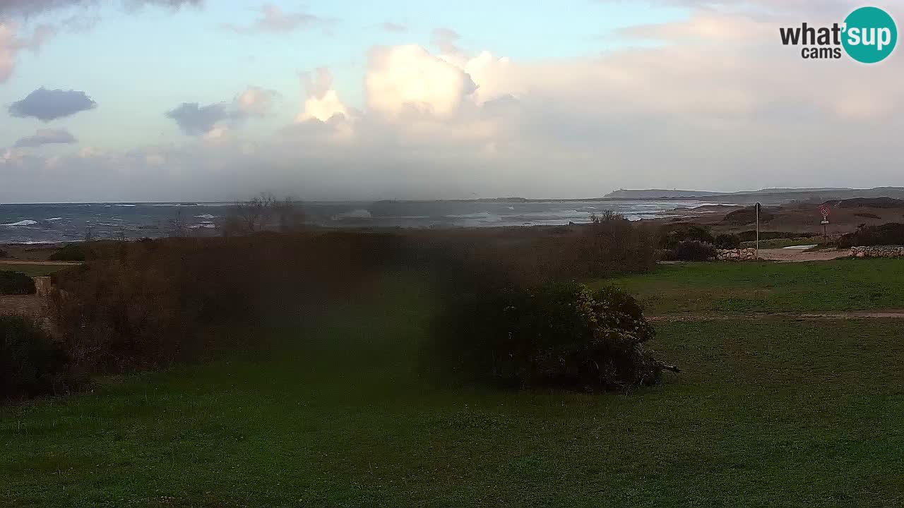 Mari Ermi Strand | Is Arutas – Oristano