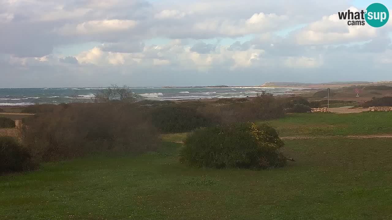 Plaža Mari Ermi | Is Arutas – Oristano