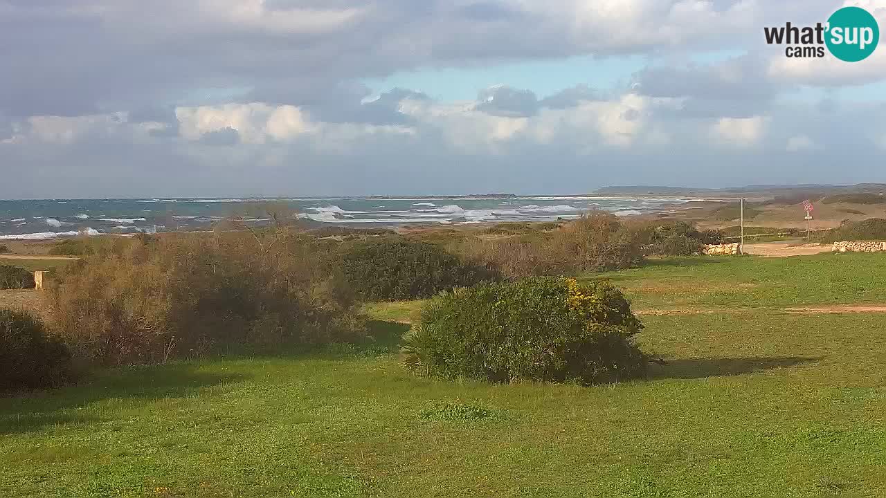 Plaža Mari Ermi | Is Arutas – Oristano