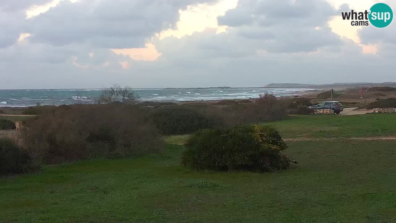 Plaža Mari Ermi | Is Arutas – Oristano