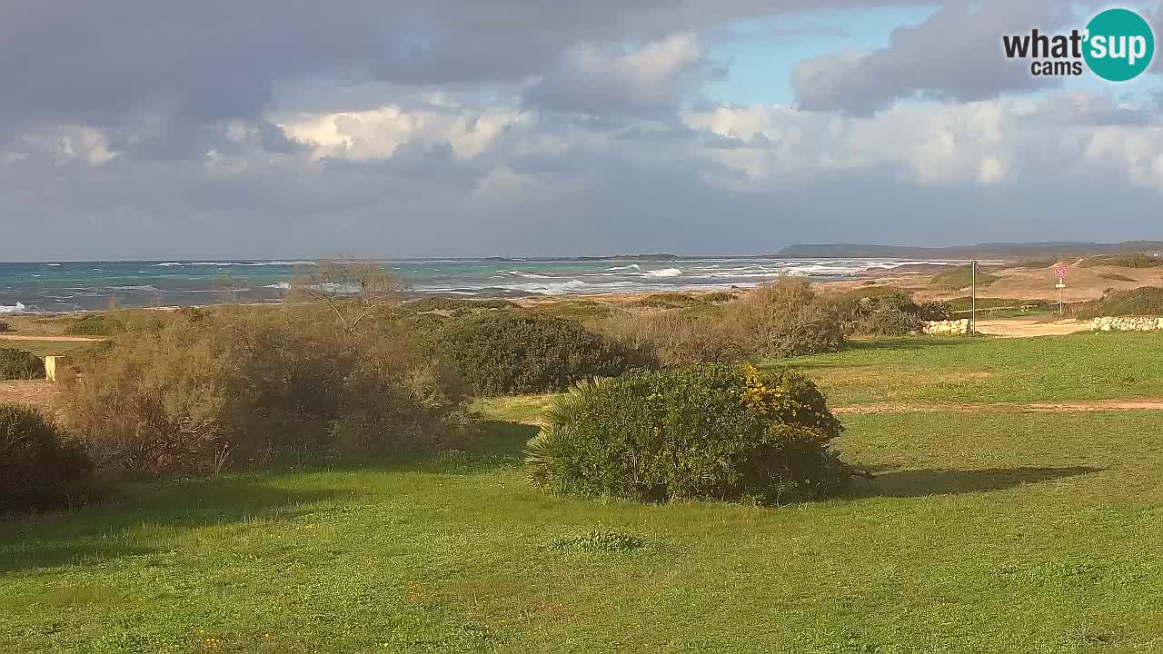 Mari Ermi Strand | Is Arutas – Oristano