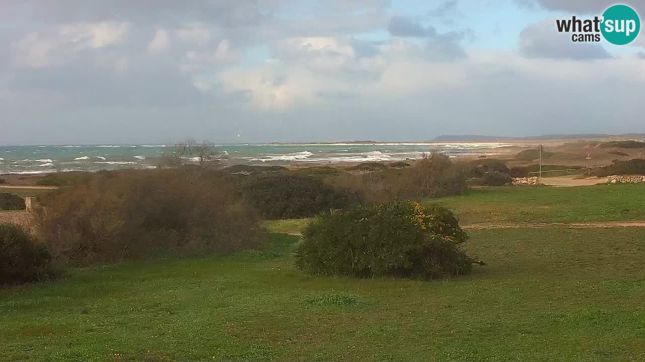 Mari Ermi Strand | Is Arutas – Oristano