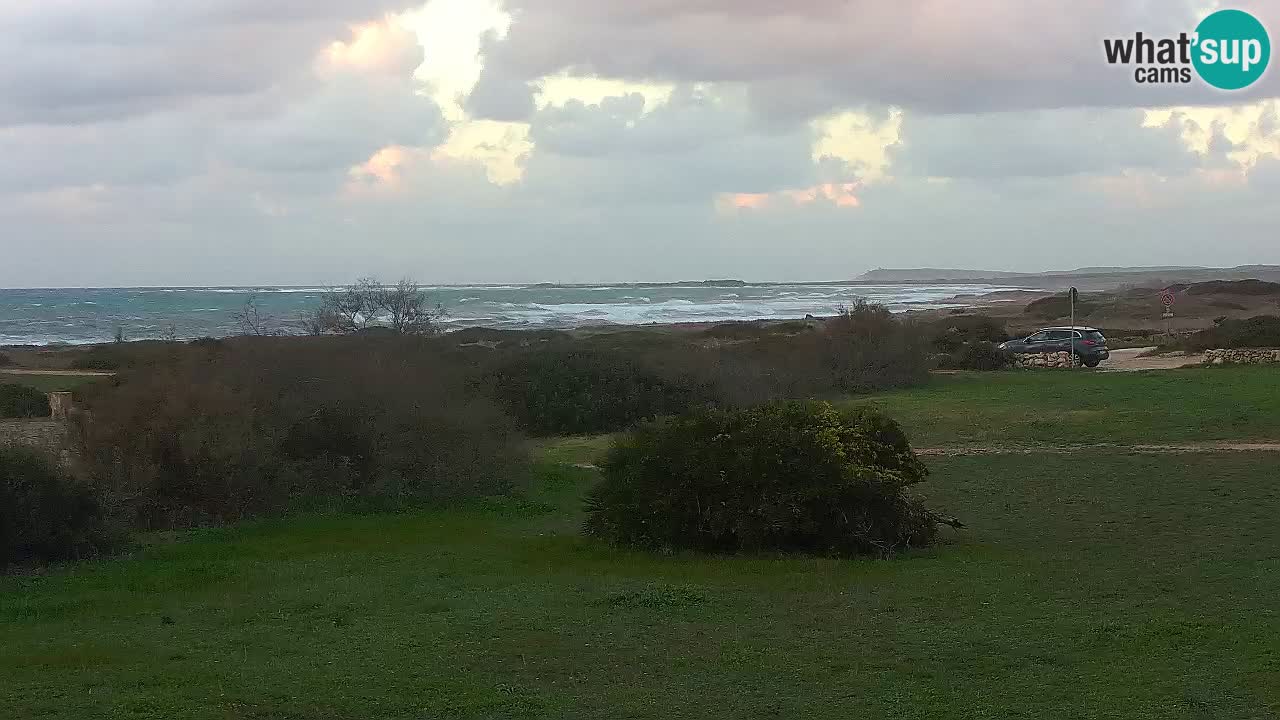 Mari Ermi Strand | Is Arutas – Oristano