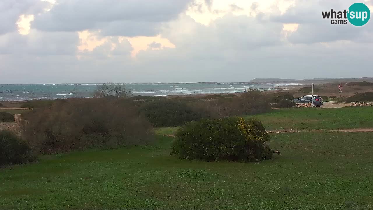 Plaža Mari Ermi | Is Arutas – Oristano