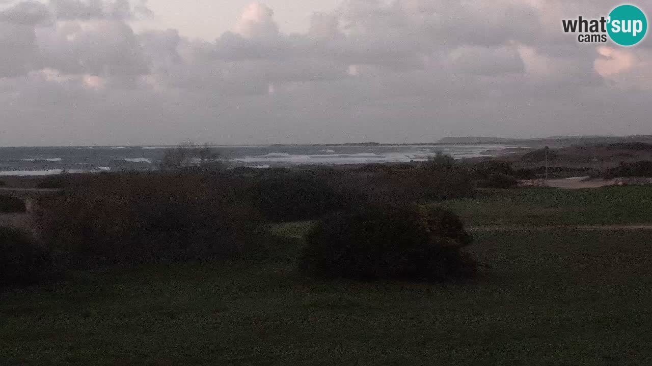 Playa Mari Ermi | Is Arutas – Oristano