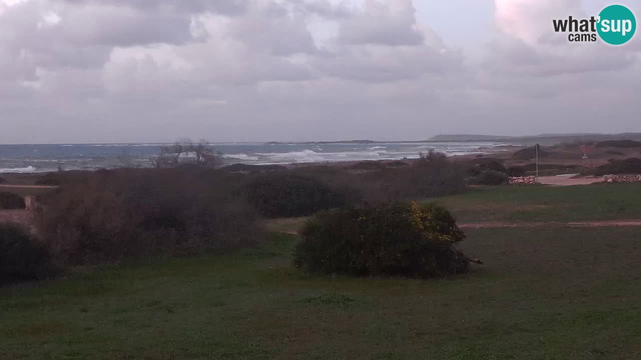 Playa Mari Ermi | Is Arutas – Oristano