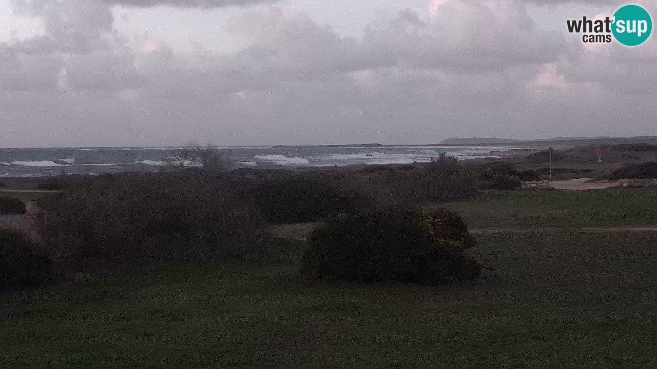 Playa Mari Ermi | Is Arutas – Oristano