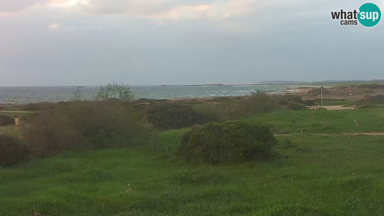 Mari Ermi Strand | Is Arutas – Oristano