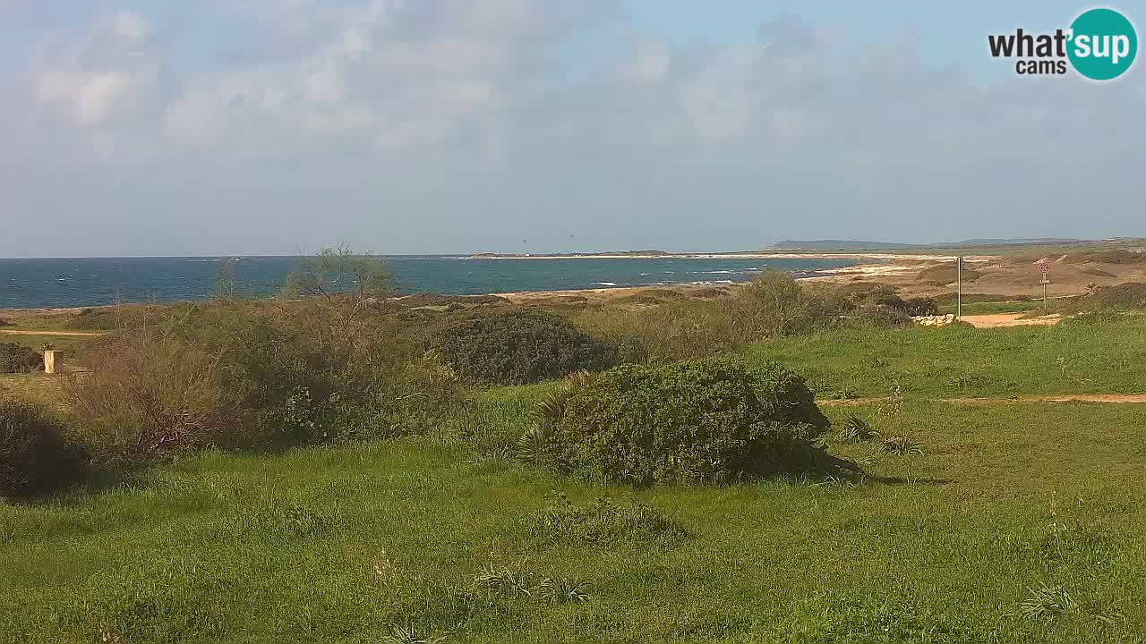 Plage Mari Ermi | Is Arutas – Oristano