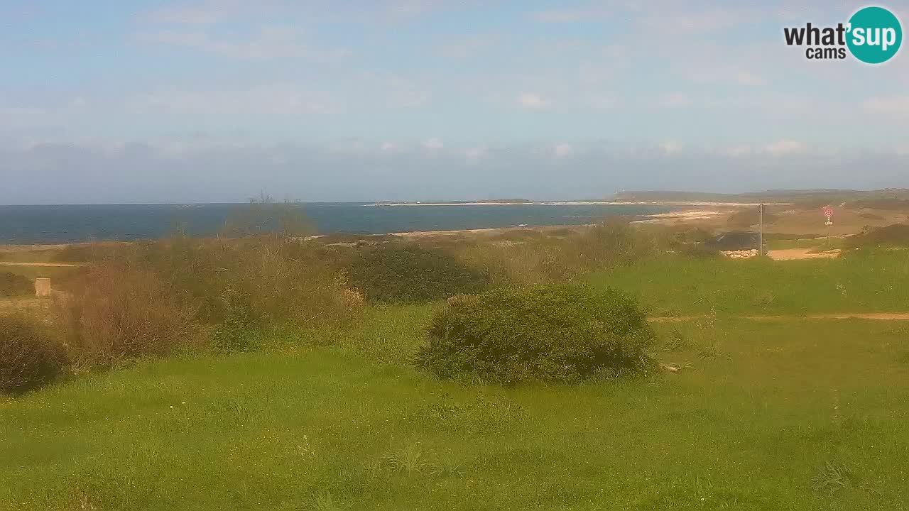 Spiaggia Mari Ermi | Is Arutas – Oristano