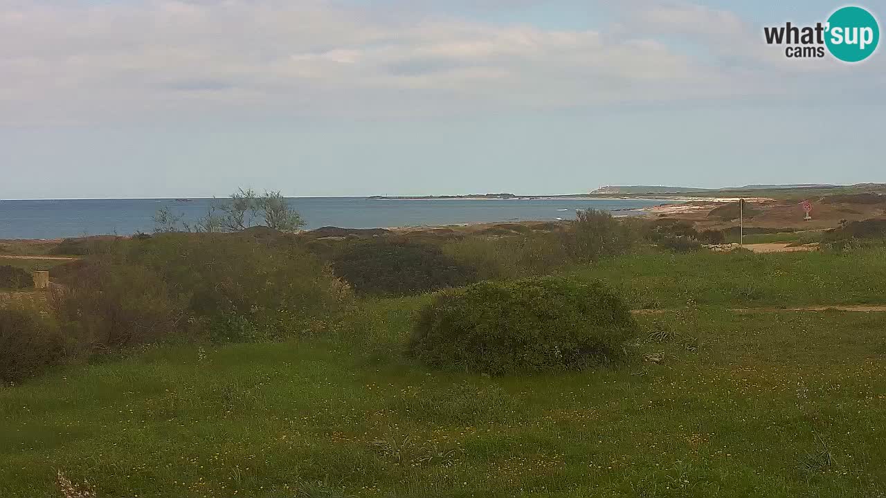 Plaža Mari Ermi | Is Arutas – Oristano