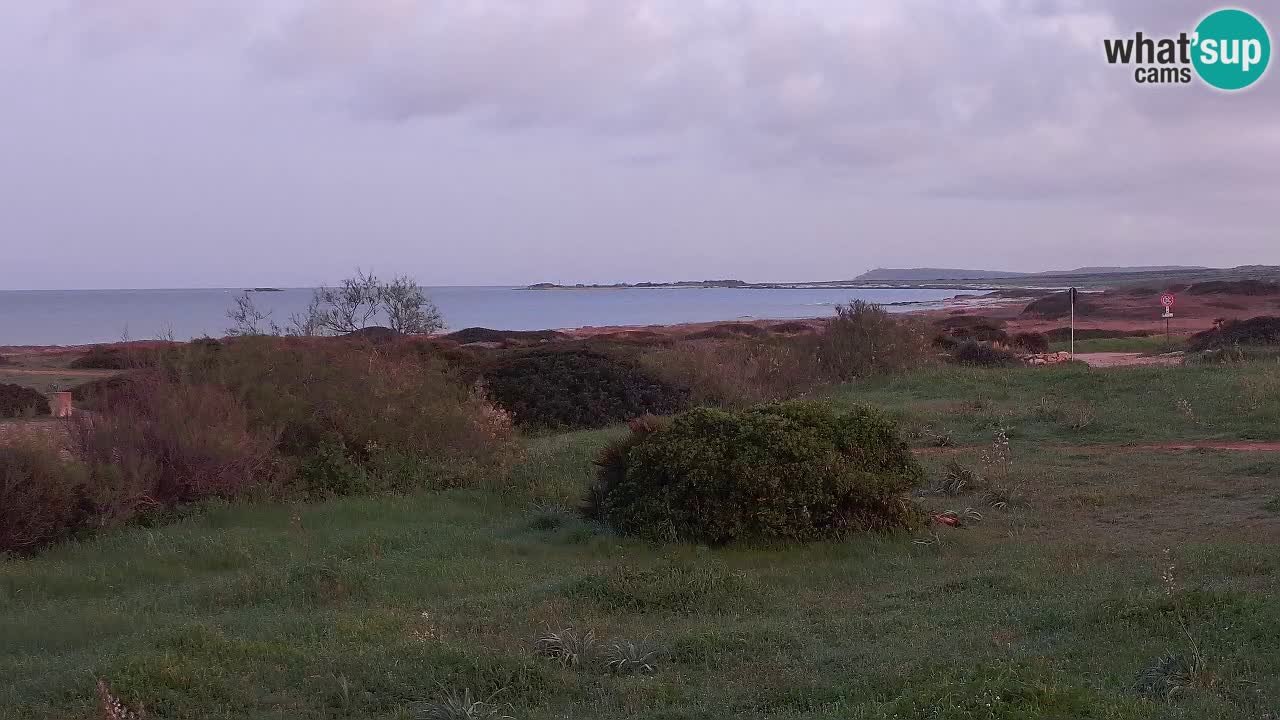 Plage Mari Ermi | Is Arutas – Oristano