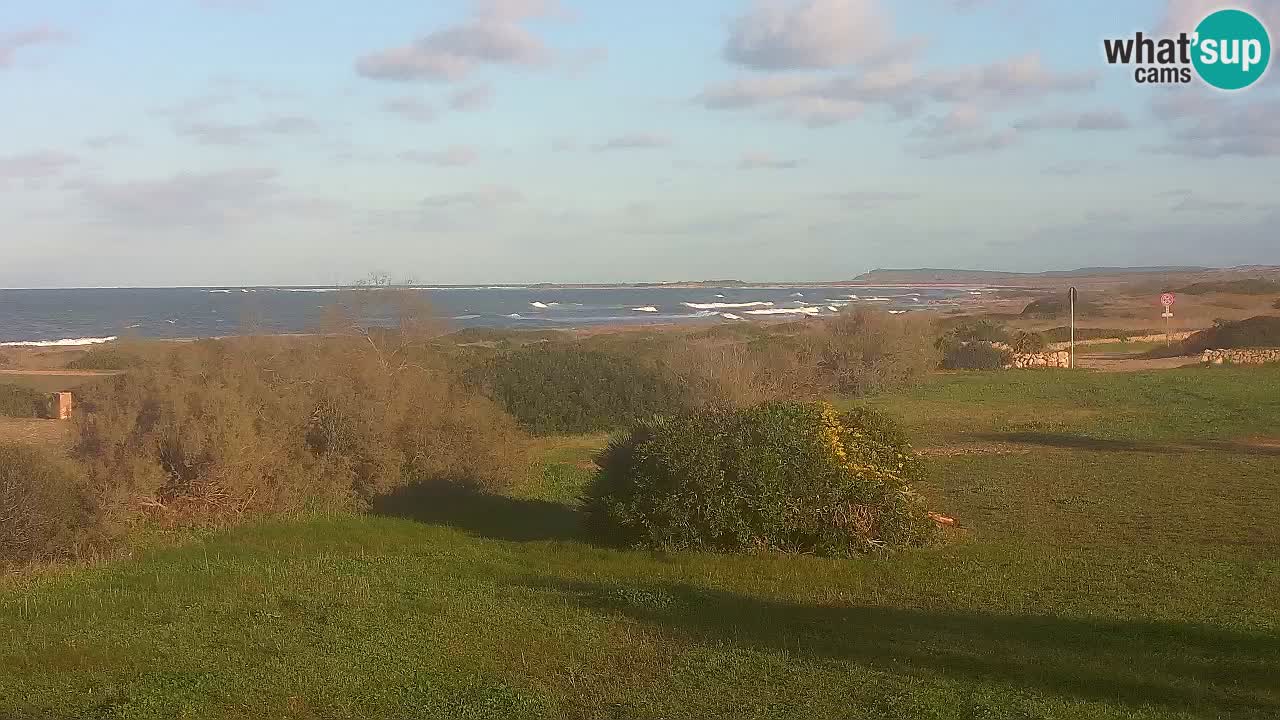 Playa Mari Ermi | Is Arutas – Oristano