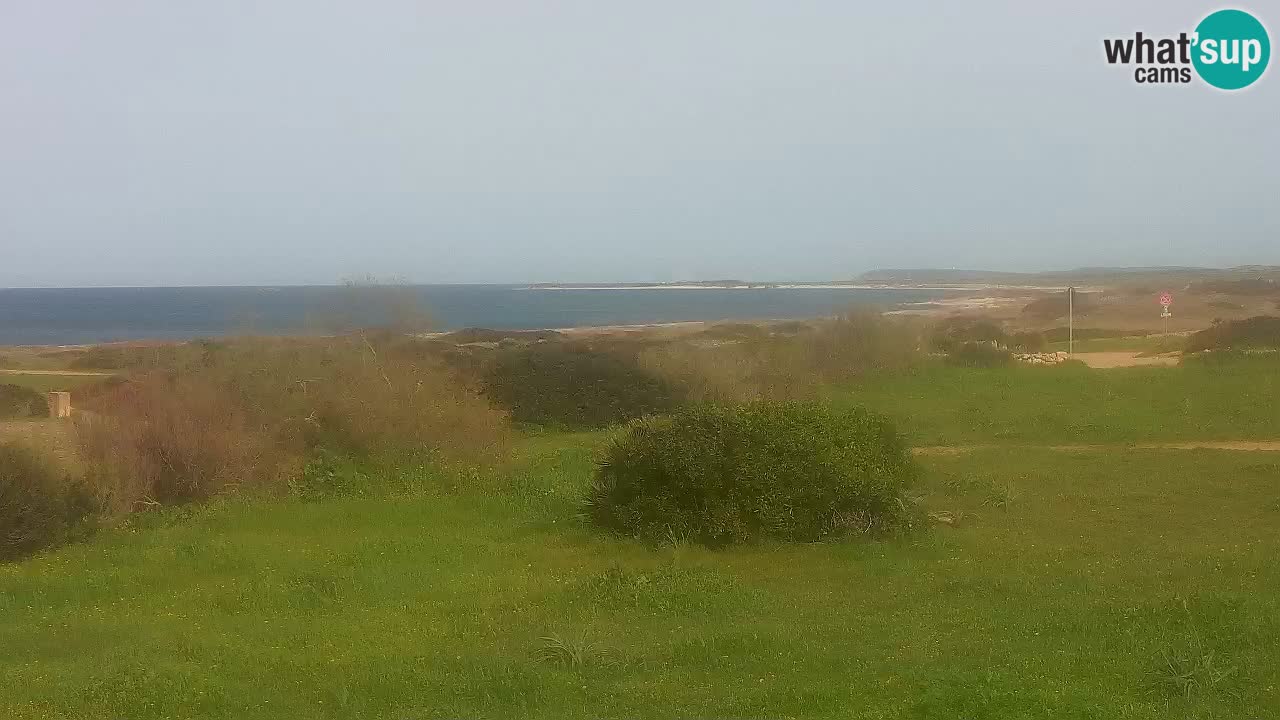 Mari Ermi beach | Is Arutas – Oristano