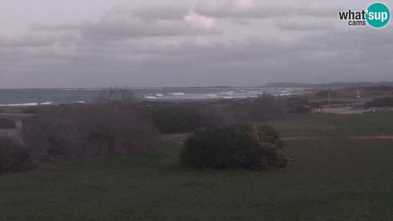 Mari Ermi Strand | Is Arutas – Oristano